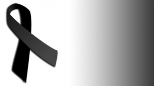 article logo